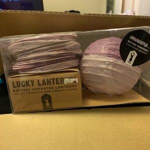 Battery powered lilac lucky lanterns